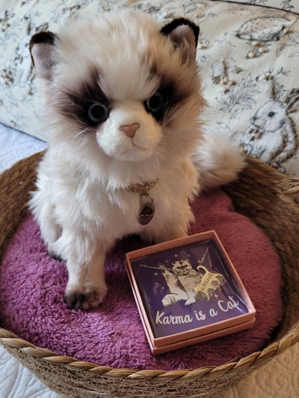 Taylor Swift's " Karma" Inspired Plush Cat in Basket with Custom Collar & Gift